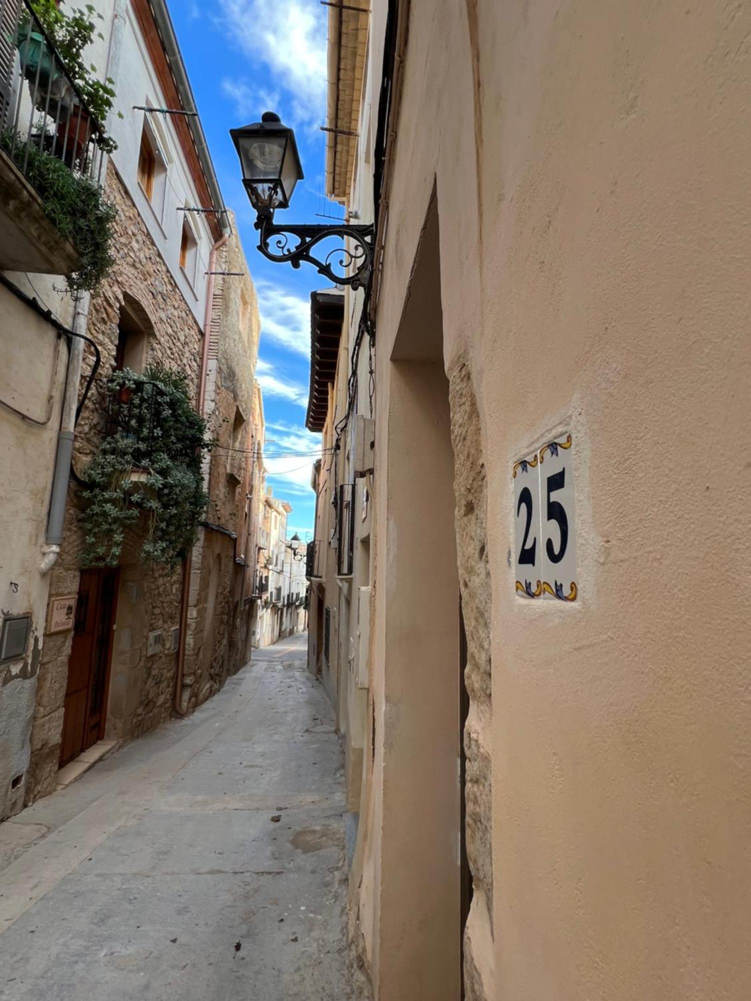 Tranquilo Apto Ideal Paraturismo Rural Y Relax Gandesa Kültér fotó