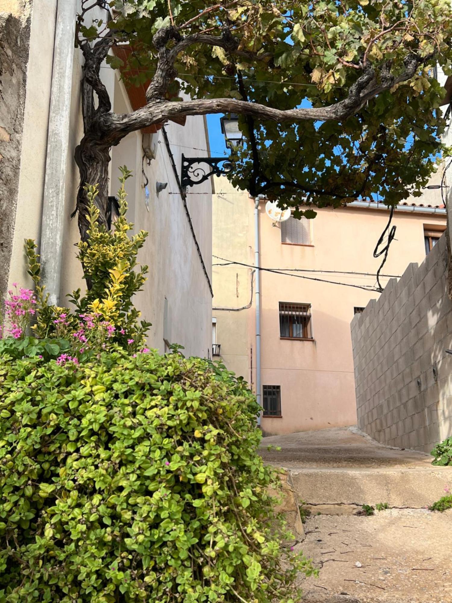 Tranquilo Apto Ideal Paraturismo Rural Y Relax Gandesa Kültér fotó