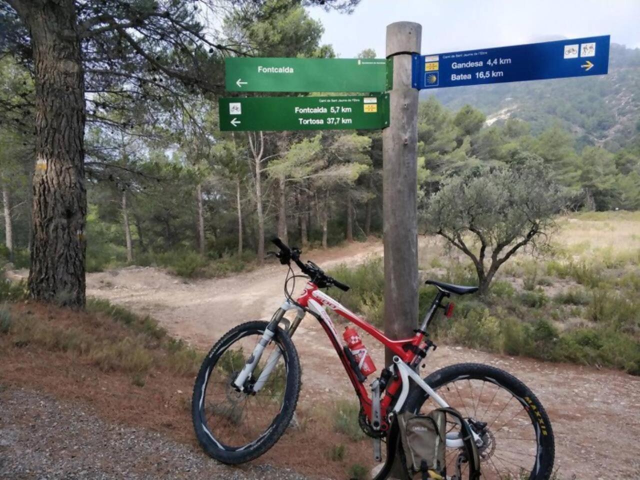 Tranquilo Apto Ideal Paraturismo Rural Y Relax Gandesa Kültér fotó